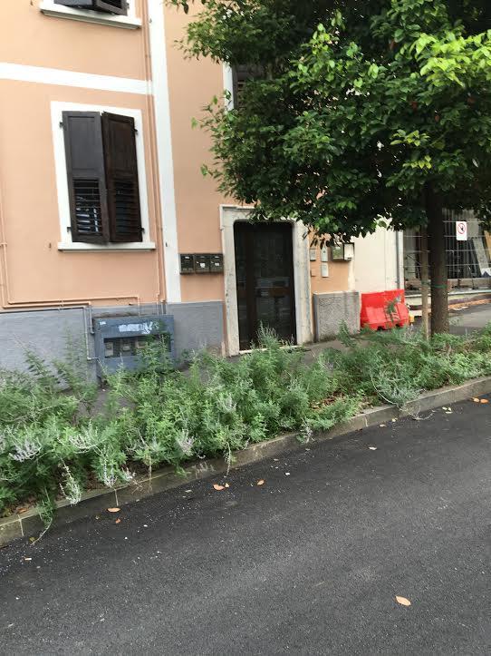 Appartamento I Sentieri 23 ริวาเดลการ์ดา ภายนอก รูปภาพ